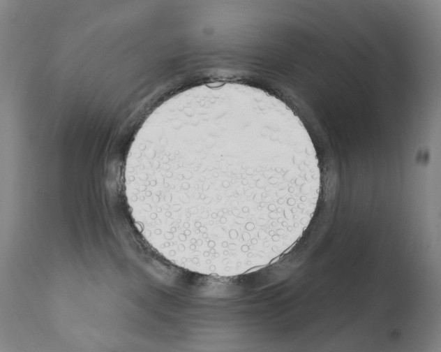 X0000110900093200907301616