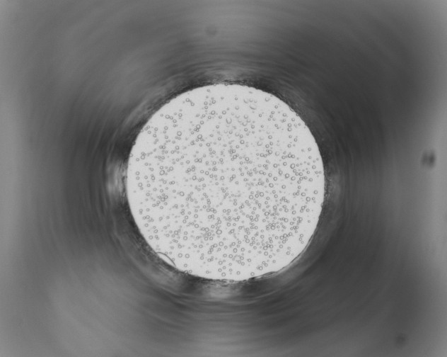 X0000110900094200907301616