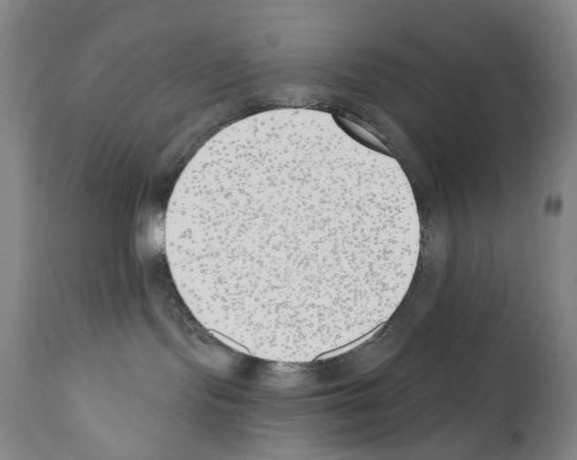 X0000110900095200907301616