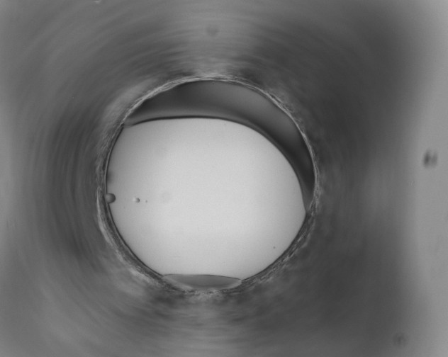 X0000110900097200907301616