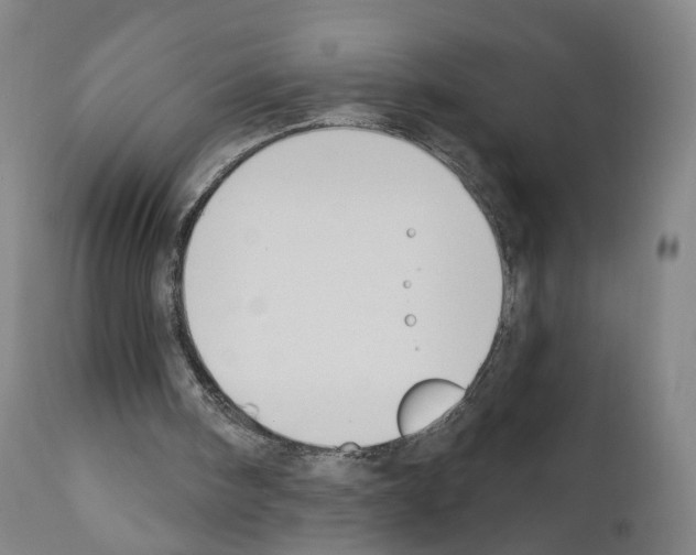 X0000110900098200907301616