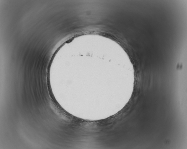 X0000110900100200907301616