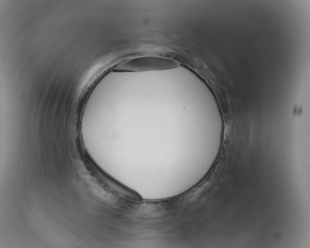 X0000110900101200907301615