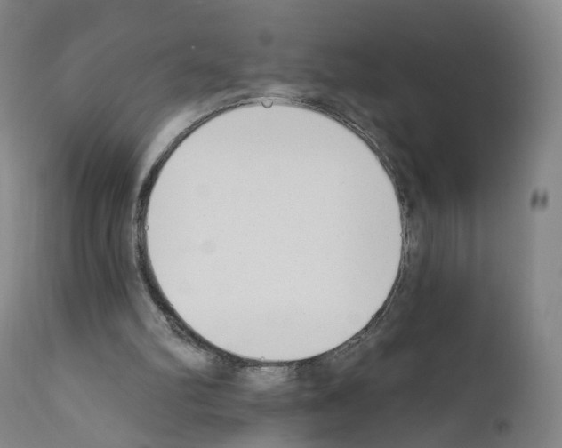 X0000110900102200907301615