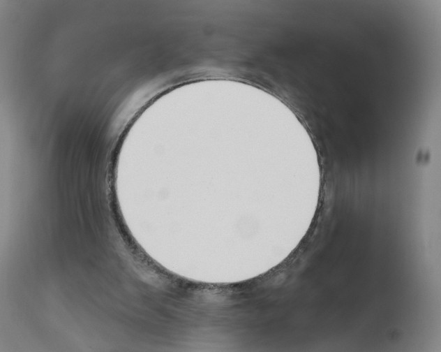 X0000110900103200907301615