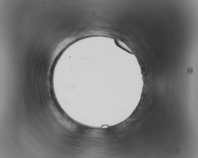 X0000110900104200907301615