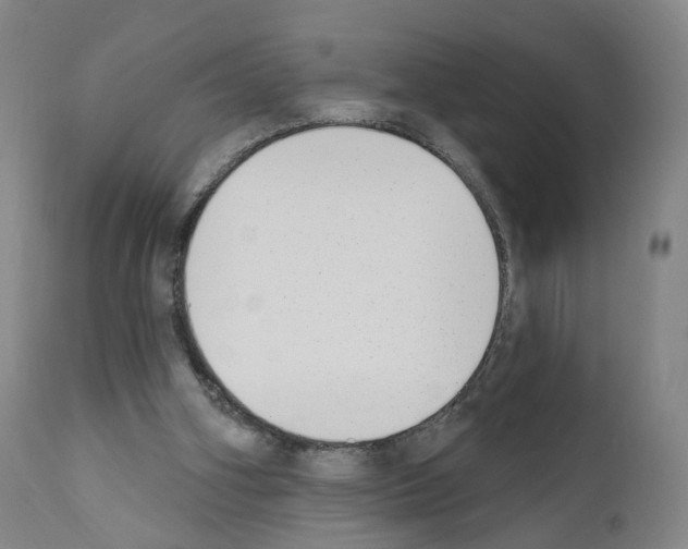 X0000110900106200907301615