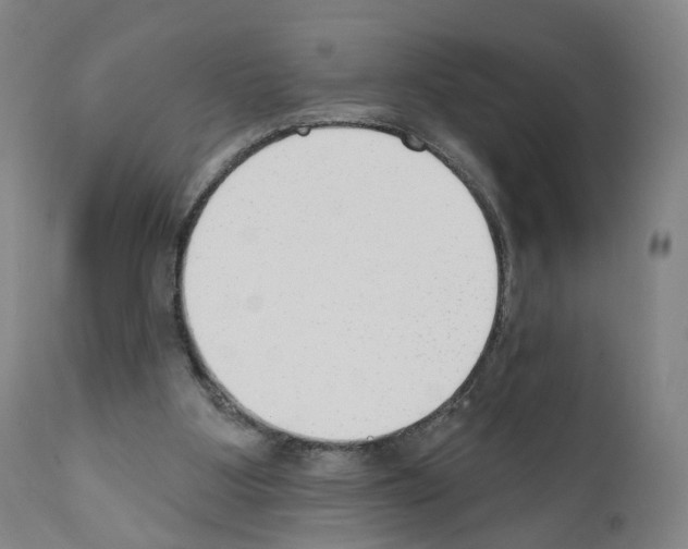 X0000110900107200907301615