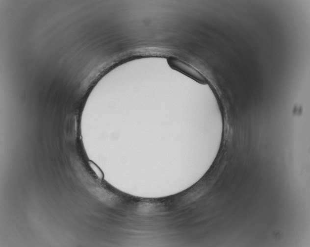 X0000110900109200907301615