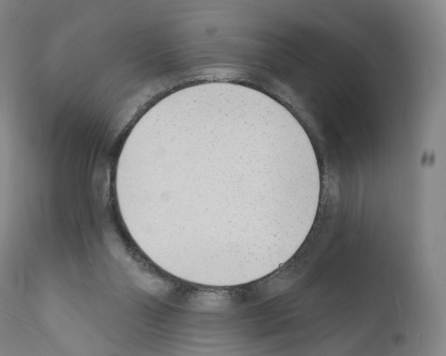 X0000110900110200907301615