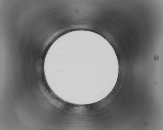 X0000110900112200907301615