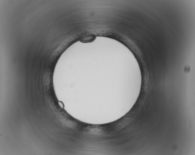 X0000110900113200907301615