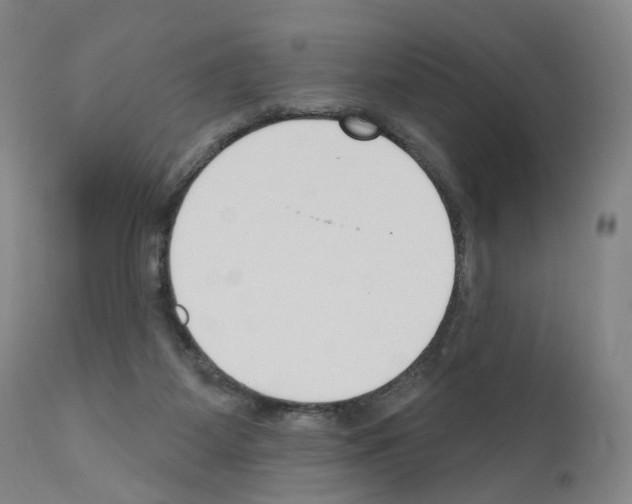 X0000110900115200907301615