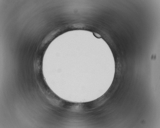 X0000110900116200907301615