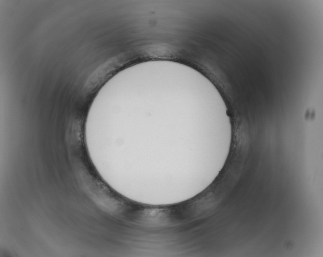 X0000110900117200907301615