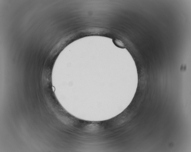 X0000110900119200907301615