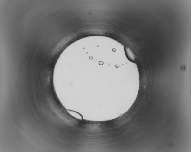 X0000110900120200907301615