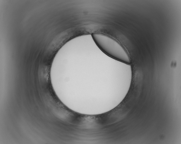 X0000110900121200907301615