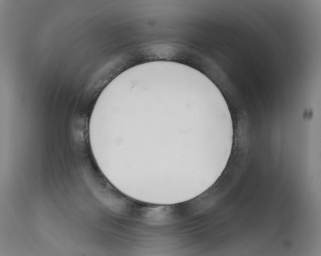 X0000110900122200907301615