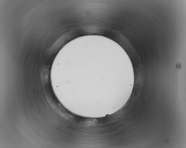 X0000110900124200907301615