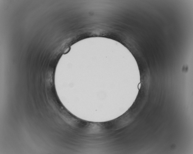 X0000110900127200907301615