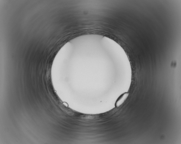 X0000110900129200907301615