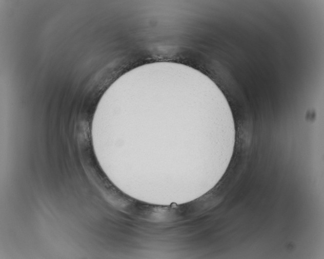 X0000110900130200907301615