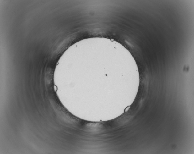 X0000110900133200907301615