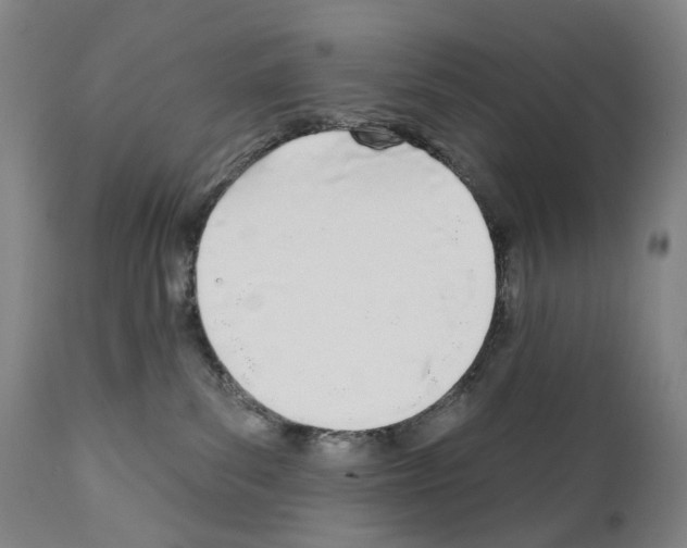 X0000110900139200907301615