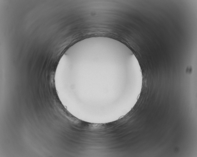 X0000110900141200907301615