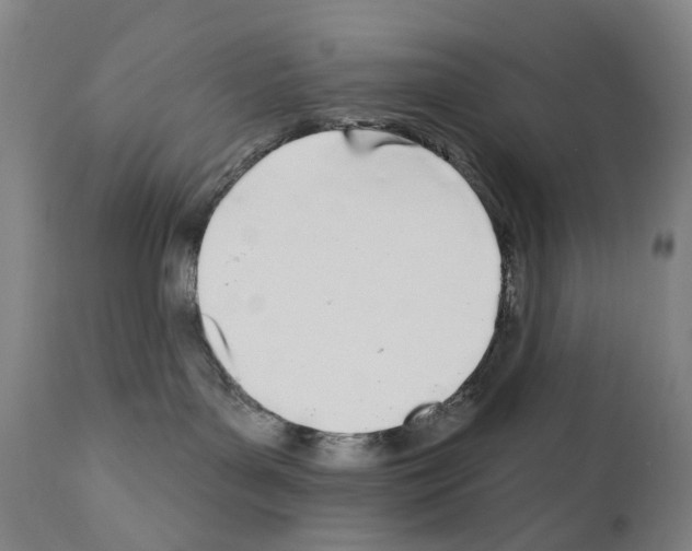 X0000110900143200907301615