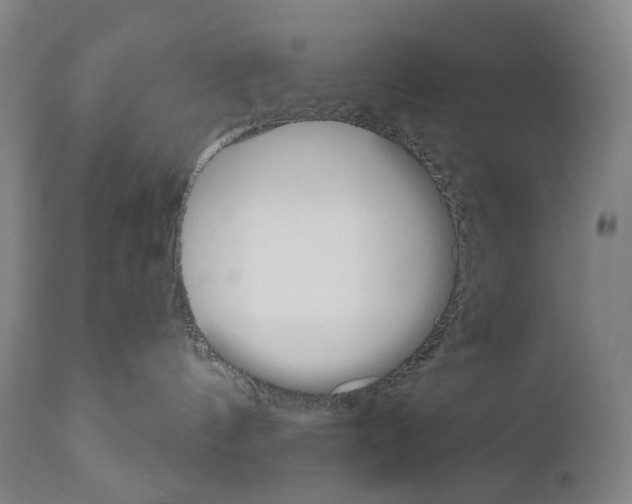 X0000110900144200907301615