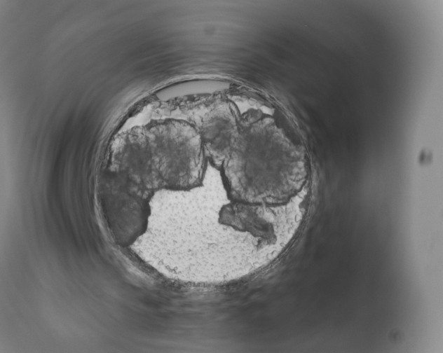 X0000110900145200907301614