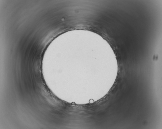 X0000110900146200907301614