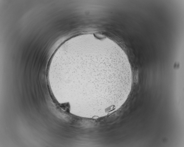 X0000110900147200907301614