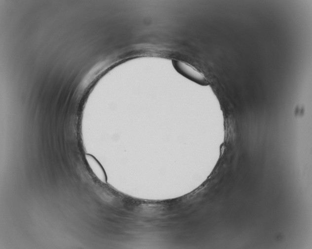 X0000110900150200907301614