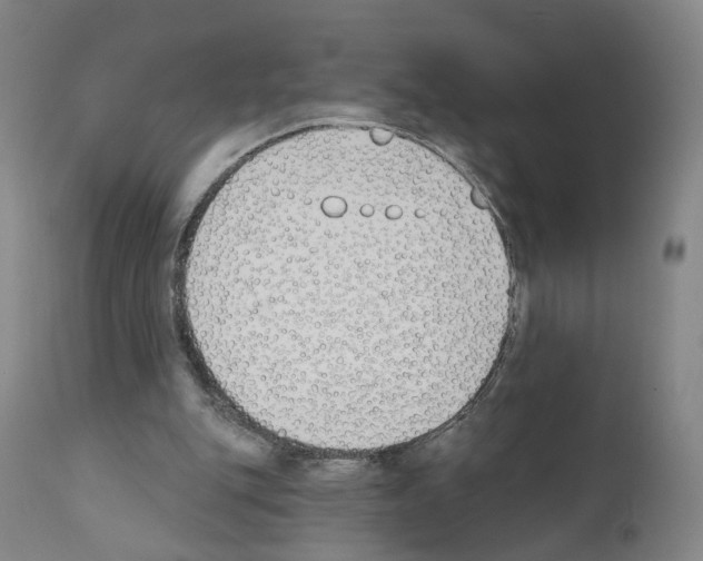 X0000110900151200907301614