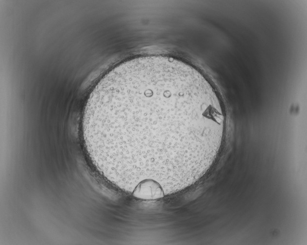 X0000110900153200907301614