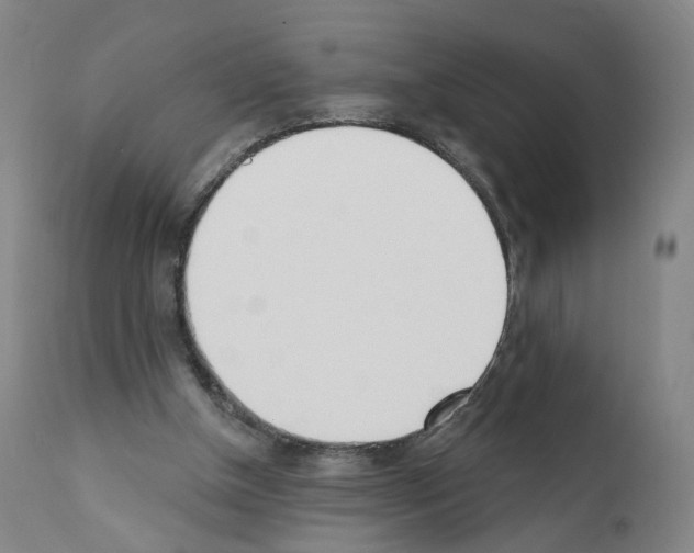 X0000110900154200907301614