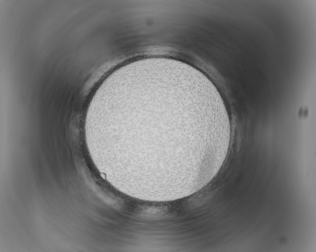 X0000110900155200907301614