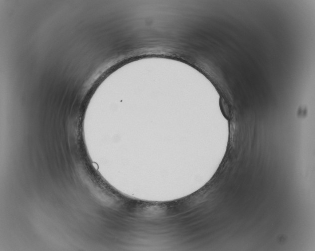 X0000110900156200907301614