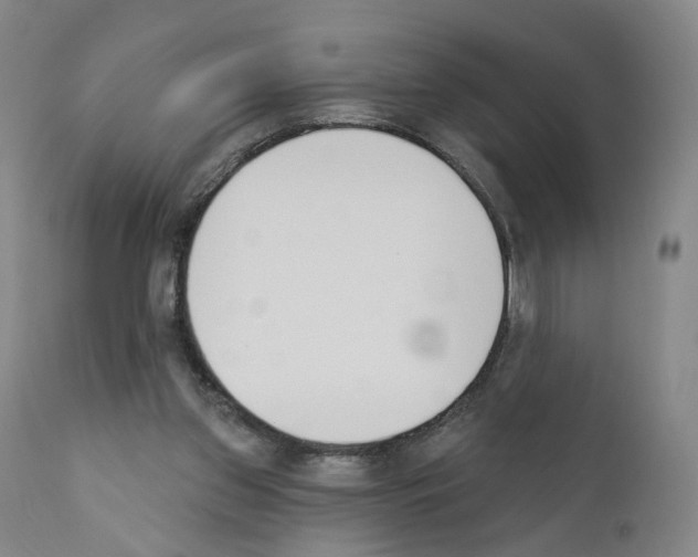 X0000110900157200907301614