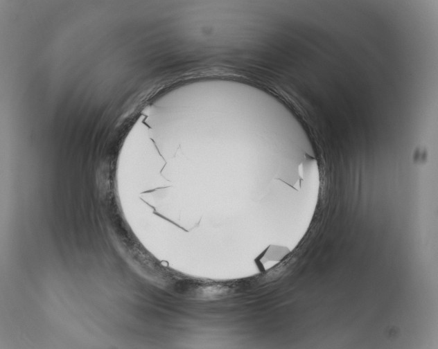 X0000110900158200907301614