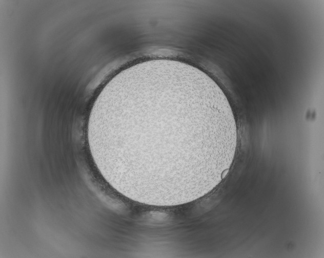 X0000110900159200907301614