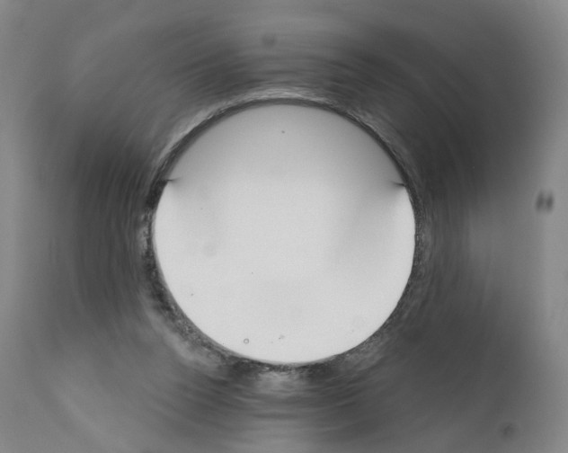 X0000110900160200907301614