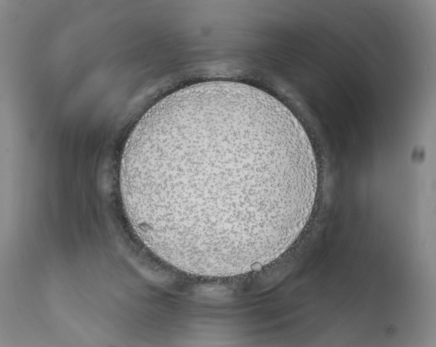 X0000110900161200907301614