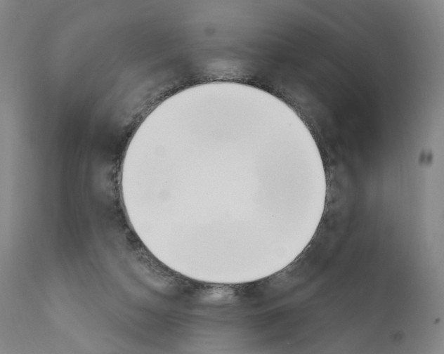 X0000110900162200907301614