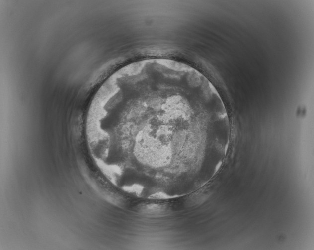 X0000110900163200907301614