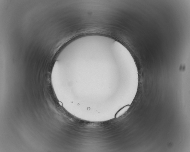 X0000110900164200907301614