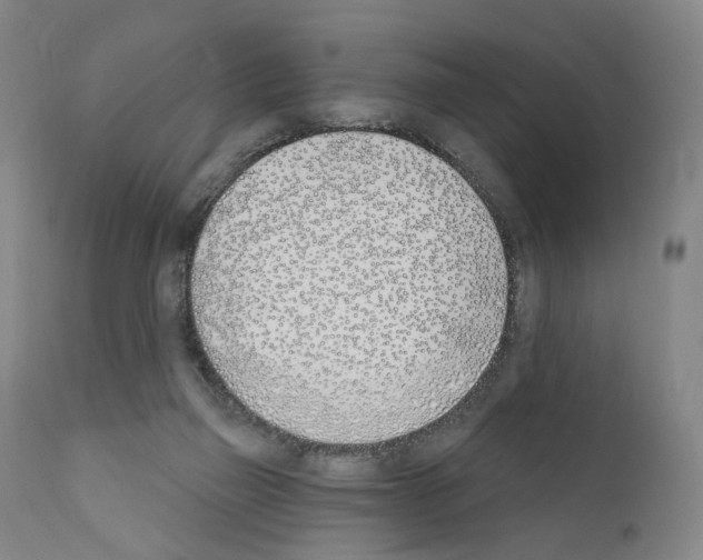 X0000110900165200907301614